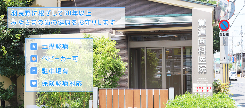 噛み合わせから考える歯科診療 歯の健康は全身の健康につながります